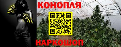 индика Конаково