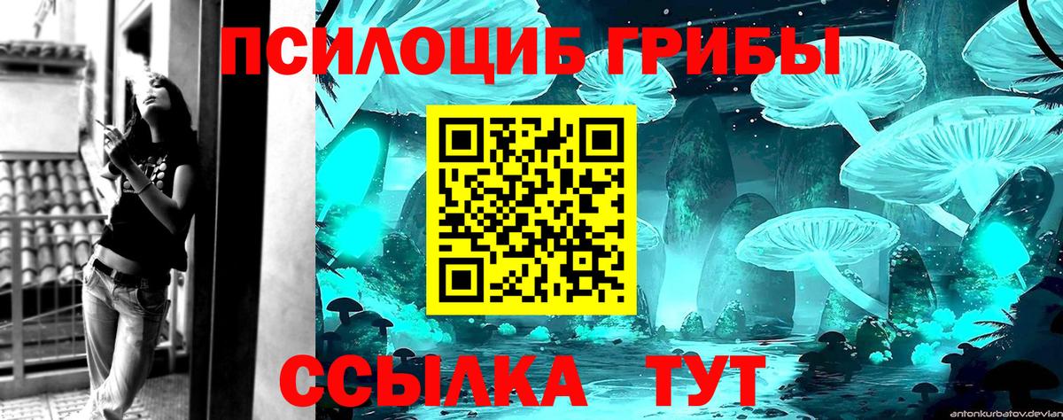 Галлюциногенные грибы Psilocybine cubensis  Вход с VPN  Воткинск 